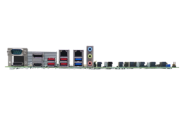 IMBA-AM5