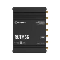 RUTM56 eSIM