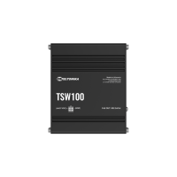 TSW100