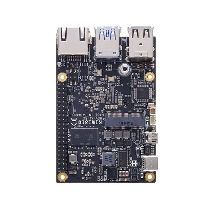 KIWI310